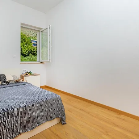 Olive Tree 1 Prijevor