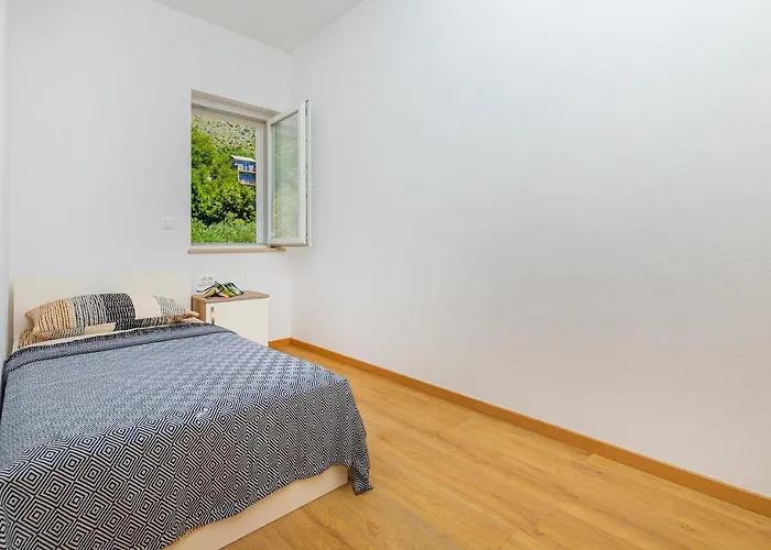 Olive Tree 1 Prijevor