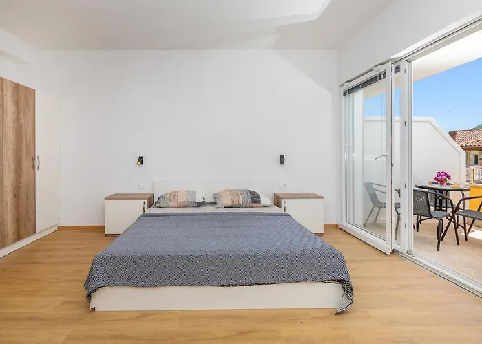 Olive Tree 1 Prijevor