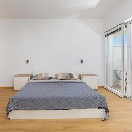 Olive Tree 1 Prijevor