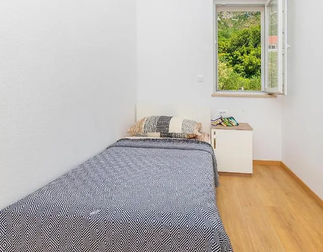 Apartman Olive Tree 1 Prijevor